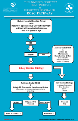Infographic for the Regional Cardiac Arrest Program (Code ROSC) pathway