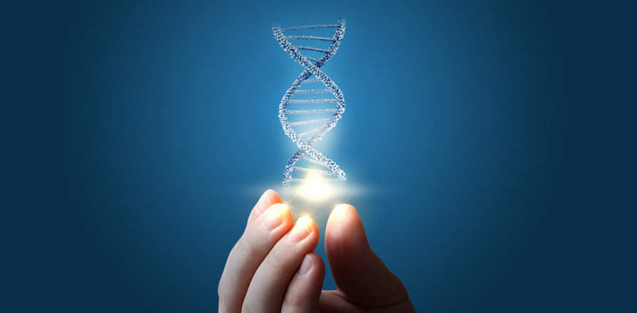 Une image composite d'une molécule d'ADN tenue à bout de doigt