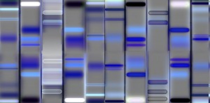 Stock photo of DNA