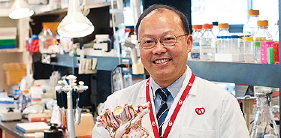 Peter Liu, MD