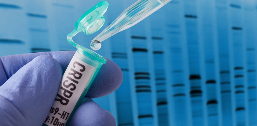 Hand holding vial doing CRISPR genomic research